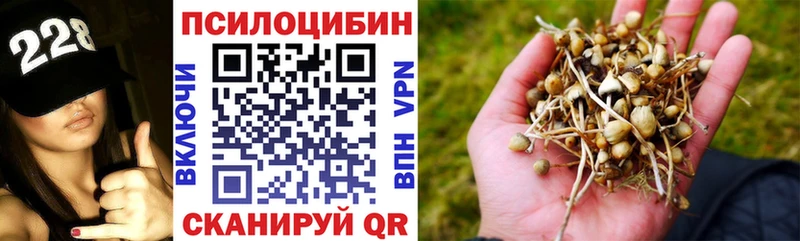 Галлюциногенные грибы Psilocybine cubensis  ссылка на мегу tor  Пересвет 